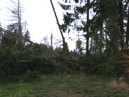 Sturmschäden durch den Orkan Kyrill im Oberland in 2007
